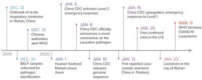 COVID-19: A Multidisciplinary Review